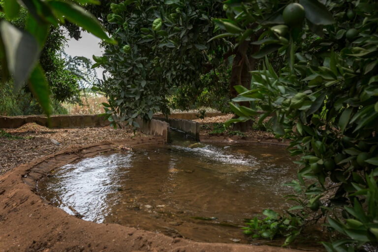 6-Instit-framework-Consortium-scaled-1