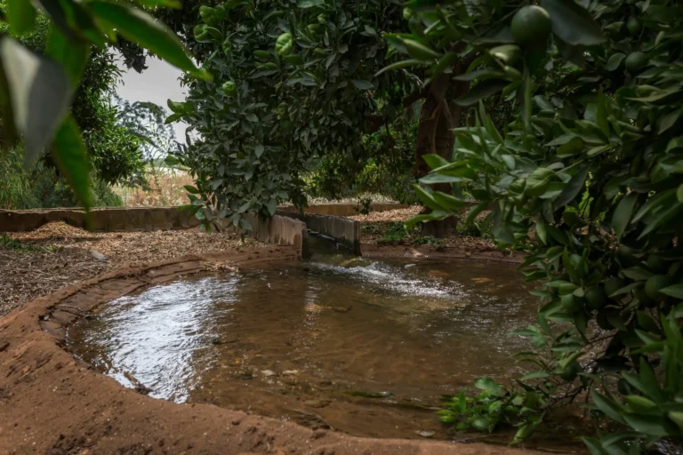 6-Instit-framework-Consortium-scaled-1