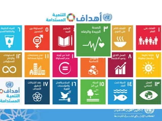 Project “Regional Initiative to Follow Up Additional Indicators for the Millennium Development Goals” +MDG