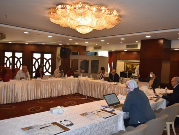 Strengthening civil society participation in disaster risk reduction plans in the Arab region