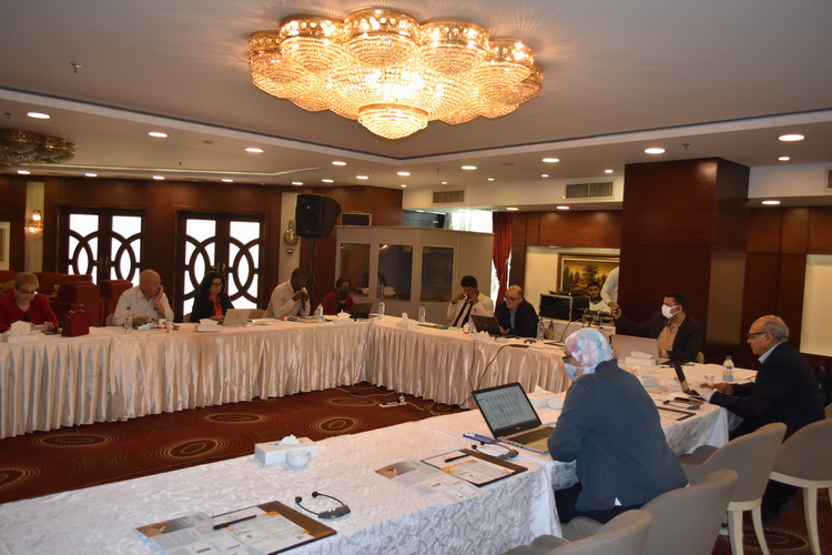 Strengthening civil society participation in disaster risk reduction plans in the Arab region