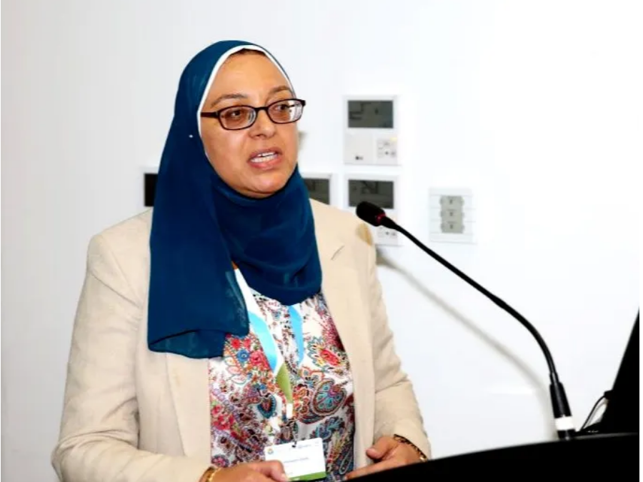 Ghada Ahmadin is a member of the Global Council for Disaster Risk Reduction