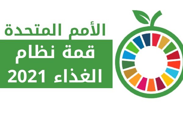 Broad Egyptian participation of the government and civil society in preparing for the World Food Summit