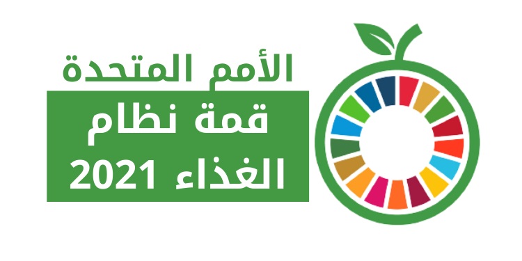 Broad Egyptian participation of the government and civil society in preparing for the World Food Summit