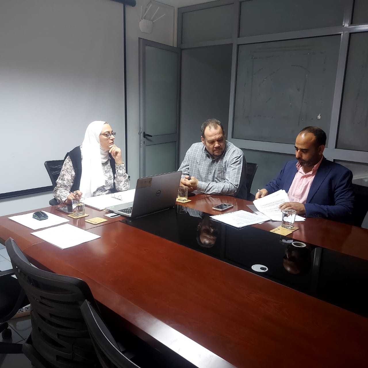 RAED is initiating a series of new environmental projects in Egypt through the PPI-OSCAN 3 program