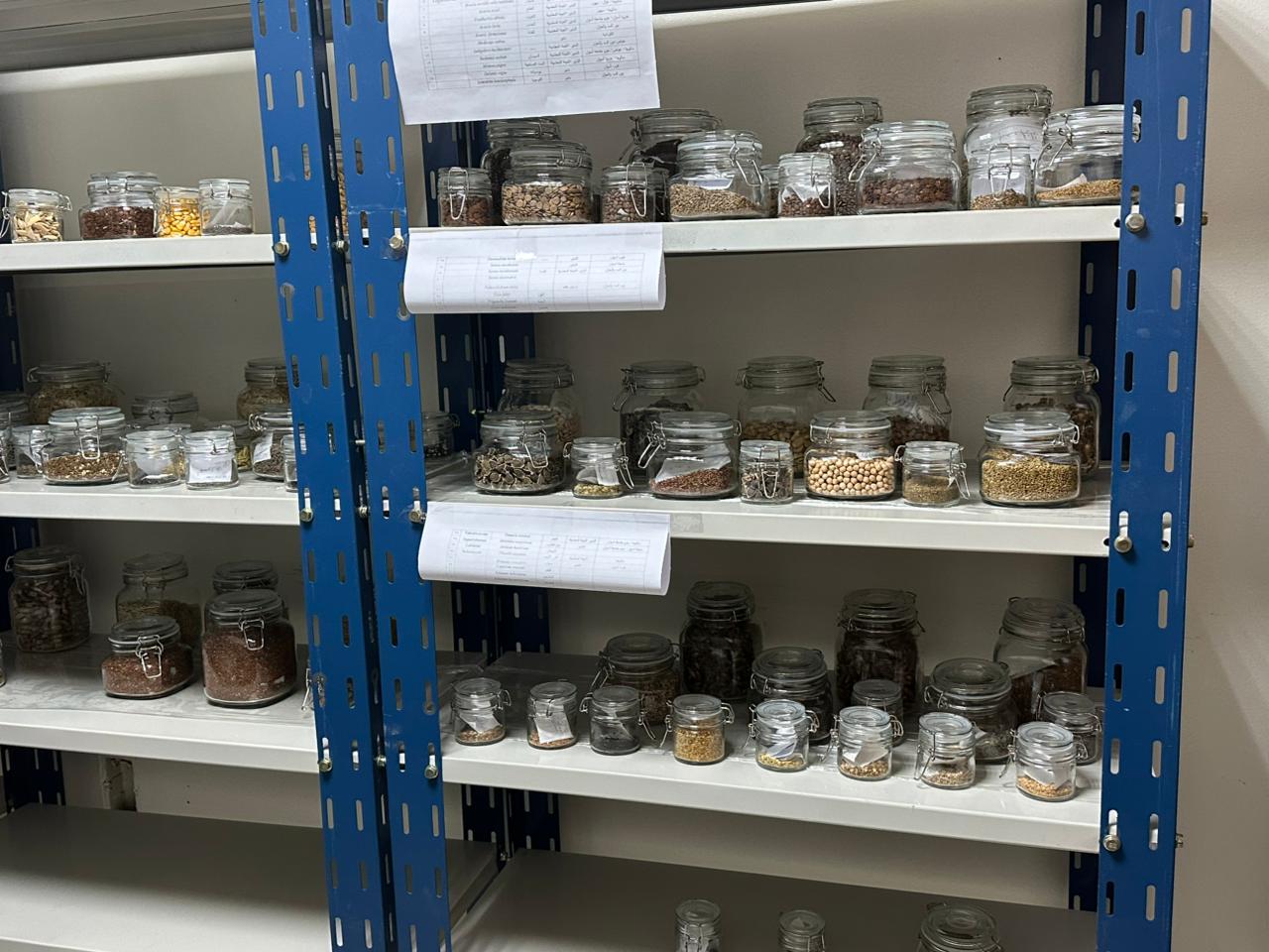 RAED Monitors the Implementation Activities of the Seed Bank Project in Aswan