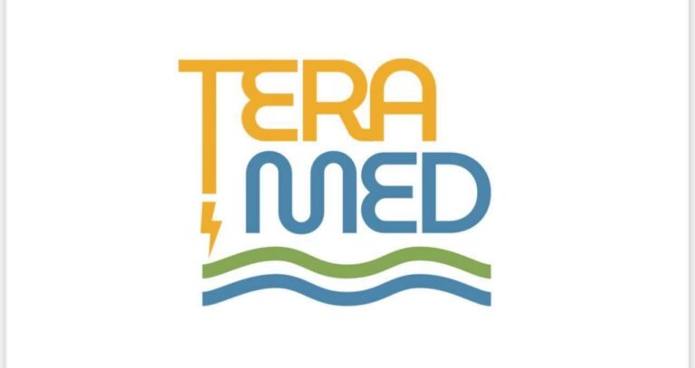 tera med logo