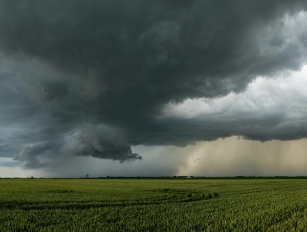 كيف يواجه المزارعون حالة عدم استقرار الأحوال الجوية؟