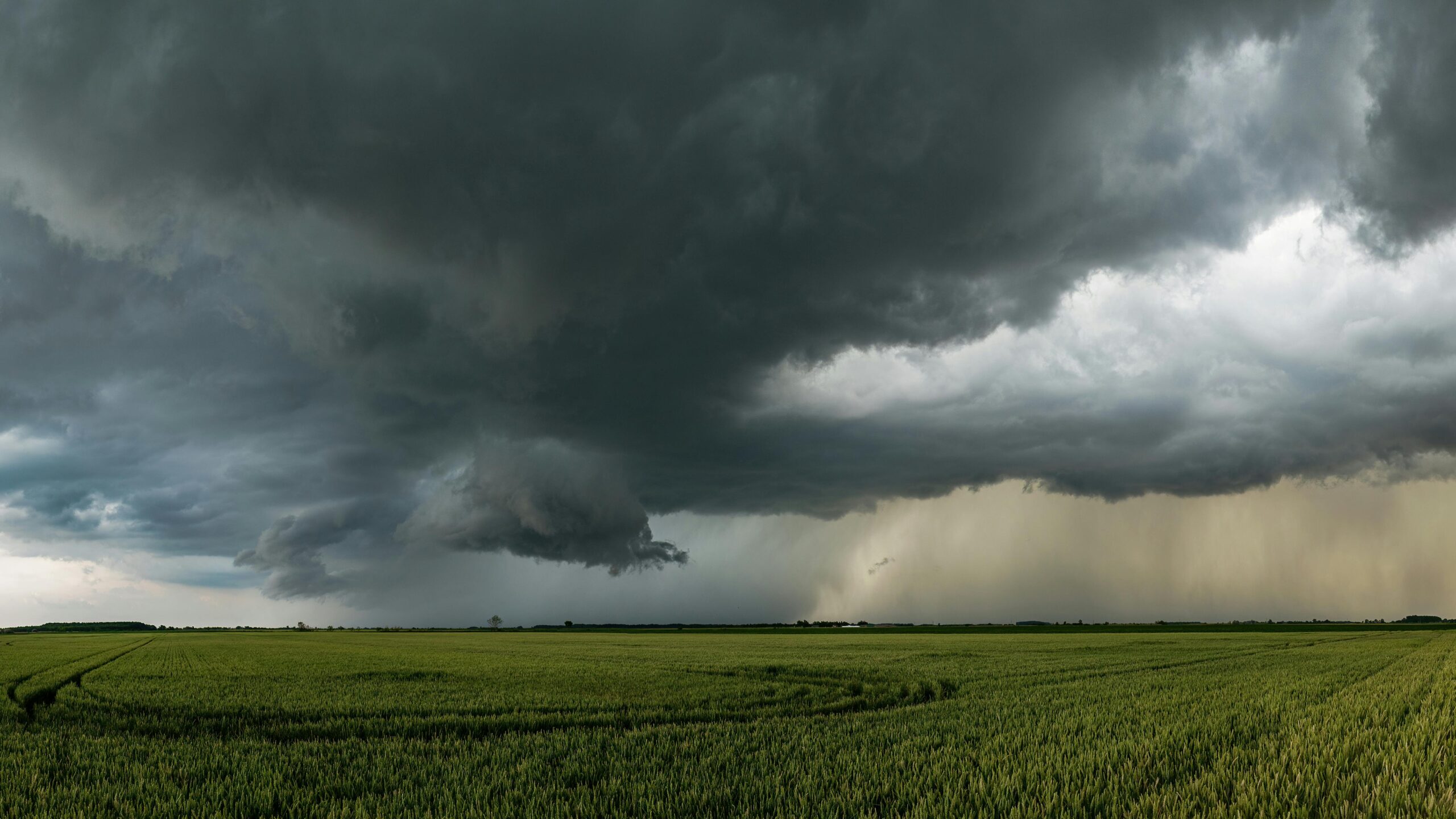 How Are Farmers Coping with Unstable Weather Conditions?